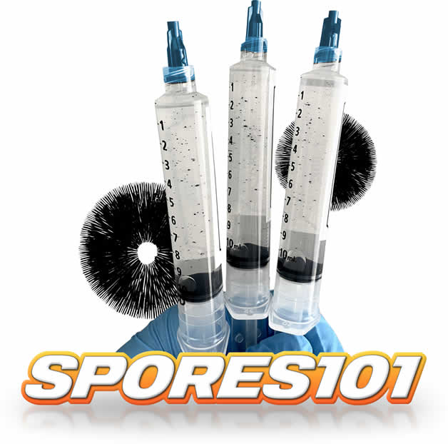 Spores101 Premium Mushroom Spores